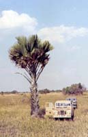 1972 Land Rovers IIa and I - Mozambique